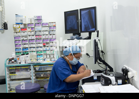 Knie-Operation-Theater-Krankenhauspersonal bei Arbeitsinstrumente für Betrieb-Krankenhaus-Ausrüstung Stockfoto