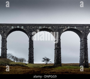 Ribblehead-Viadukt, North Yorkshire. Ursprünglich unter dem Namen Batty Moss Eisenbahnviadukt Stockfoto