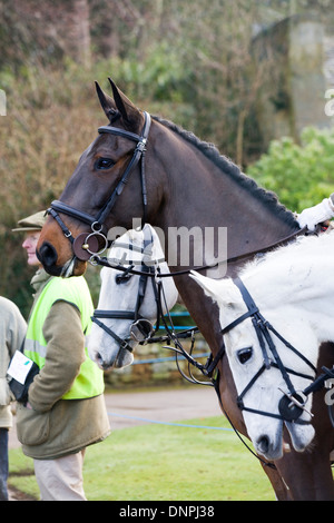 Traditionellen Boxing Day treffen sich bei Upton Haus Warwickshire, England Stockfoto