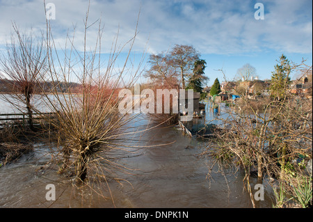 Überschwemmung, Godalming, Surrey, England Stockfoto