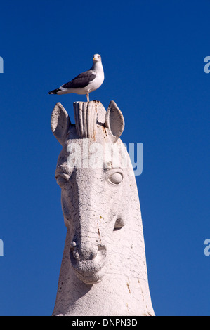 Eine größere schwarz-unterstützte Möve stehend auf einer Statue von einem Kelpie in Belem Viertel von Lissabon. Stockfoto