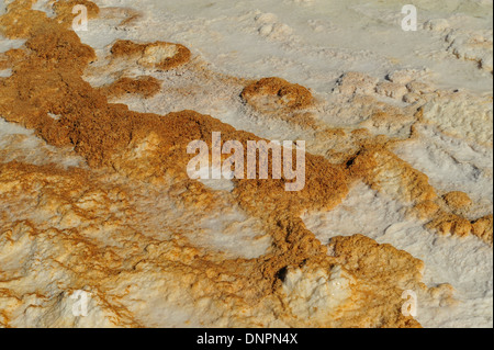 Trockene Salz am Ufer des Lake assal, Dschibuti Stockfoto