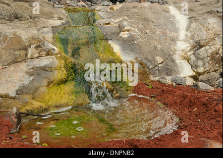 Ein kleiner Wasserfall im Wald Tag in Dschibuti, Horn von Afrika Stockfoto