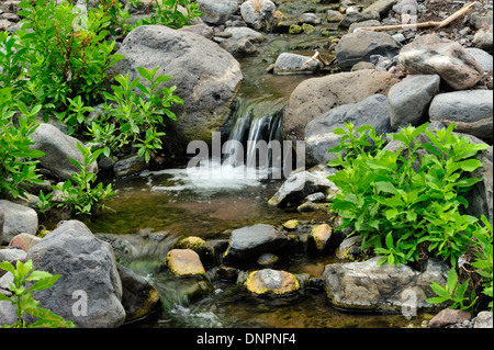 Ein kleiner Wasserfall im Wald Tag in Dschibuti, Horn von Afrika Stockfoto