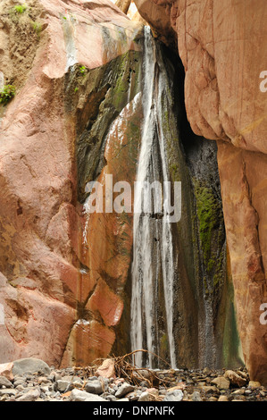 Wasserfall im Wald Tag in Dschibuti, Horn von Afrika Stockfoto