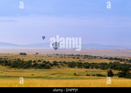 Heißluftballons fliegen über Masai Mara National Reserve, Kenia Stockfoto