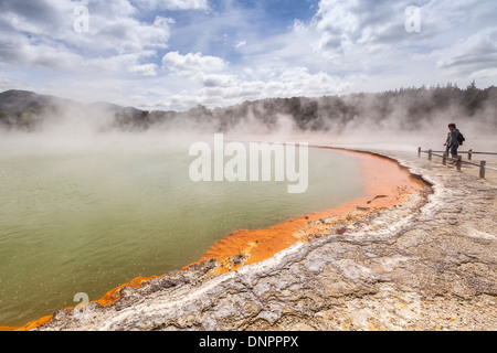 Dampfenden Wasser am Champagne Pool, Waiotapu Thermal Reserve, Rotorua, Neuseeland. Stockfoto