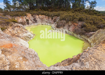 Der Teufel Bad, einen Pool von schwefelhaltigen Wasser im Waiotapu Thermalgebiet, in der Nähe von Rotorua in der Taupo Volcanic Zone. Stockfoto