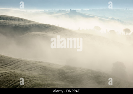 Landschaft in der Morgen mit Nebel, in der Nähe von San Quirico d ' Orcia, Val d ' Orcia, Orcia-Tal, Bezirk von Siena, Toskana, Italien Stockfoto