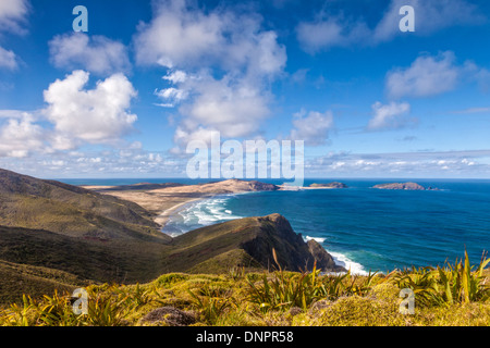 Cape Maria van Diemen von Cape Reinga, Northland, Neuseeland. Im Vordergrund stehen der Miniatur-Flachs, die am Kap Rein wachsen Stockfoto