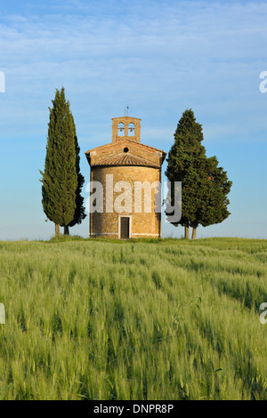 Kapelle des Vitaleta mit Zypressen im grünen Bereich. Kapelle des Vitaleta, Val D´Orcia, Provinz Siena, Toskana, Italien. Stockfoto