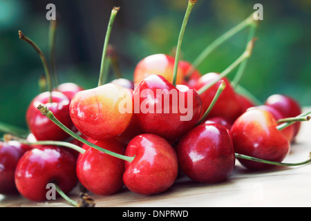 Cherries, Fresh Cherries Stockfoto
