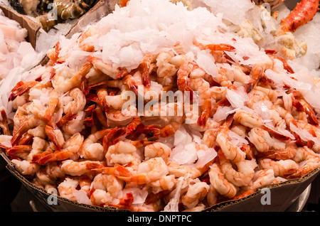 Garnelen auf Eis bei einem Fischhändler Markt stall Pike Place Market Seattle, Washington, USA Stockfoto