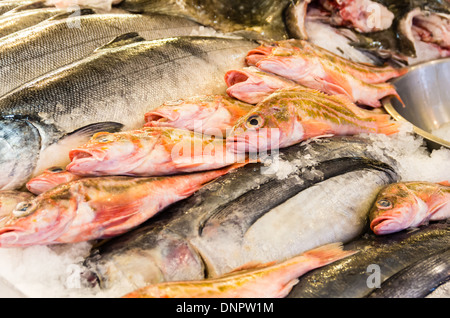 Frischfisch auf Eis in einem Fischhändler Markt stall Pike Place Market Seattle, Washington, USA Stockfoto