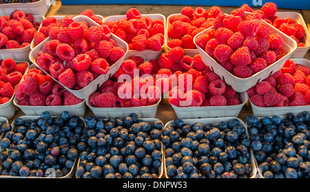 Rote Himbeeren und Blaubeeren auf dem Display auf einen Bauernmarkt stall Pike Place Market Seattle, Washington, USA Stockfoto