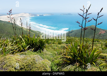 Blick entlang Te Werahi Beach und Cape Maria van Diemen, das einen 45-minütigen Spaziergang von Cape Reinga, Neuseeland Stockfoto