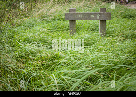 Rezeption-Schild mit Pfeil in Grass, England Stockfoto