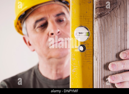 Porträt des Carpenter-Tonwert, Studioaufnahme Stockfoto