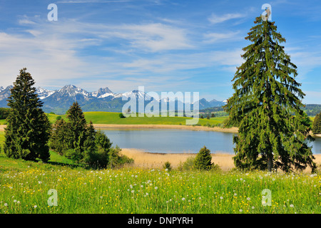 Schapfensee im Frühjahr, Halblech, Schwaben, Bayern, Deutschland Stockfoto