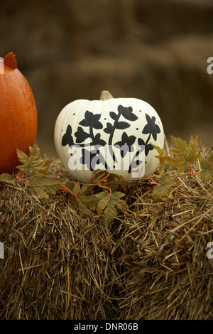 Kürbisse für Halloween auf Heu Ballen, Ontario, Kanada verziert Stockfoto