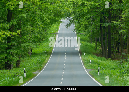 Straße durch buchen-Wald, Spessart, Bayern, Deutschland, Europa Stockfoto