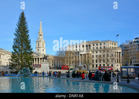 Weihnachtsbaum auf dem Trafalgar Square mit Südafrika Haus und Kirche und Turm von St. Martin in den Bereichen blaue Himmel Tag London England Großbritannien Stockfoto