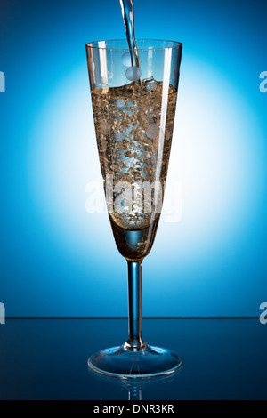 Champagner in ein Glas gegossen. Blauer Hintergrund Stockfoto