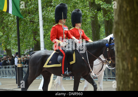 Kommandierender Offizier walisische wachen und seine königliche Hoheit Prinz Charles auf der Mall, London während der Truppe 2013 Stockfoto