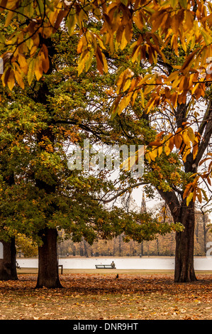 Herbstbäume in Kensington Gardens mit dem Round Pond in der Ferne, London. Stockfoto