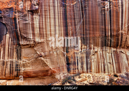 Spektakuläre Muster von Wüstenlack entlang Calf Creek Canyon in Utah Escalante National Monument. Stockfoto