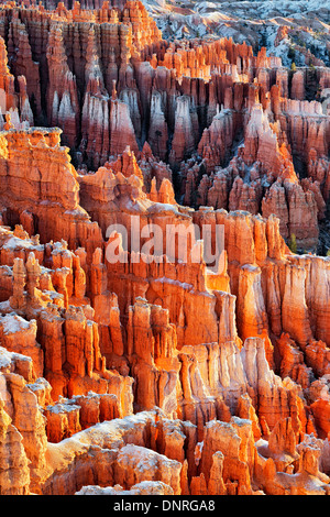 Im Herbst erste Lichtschein auf dem Schnee bestäubt Hoodoos im Bryce Canyon National Park in Utah. Stockfoto