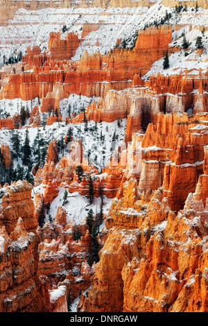 Morgenlicht offenbart die Schönheit der Herbst die ersten Schneefall im Bryce Canyon National Park in Utah. Stockfoto