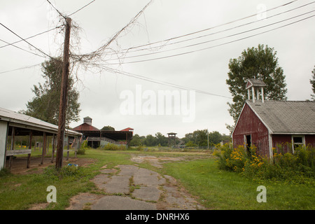 Verlassene und überwucherten alten Messegelände in Great Barrington, Massachusetts. Rennstrecke Tribünen im Heck. Stockfoto