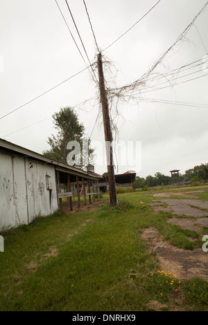 Verlassene und überwucherten alten Messegelände in Great Barrington, Massachusetts. Rennstrecke Tribünen im Heck. Stockfoto