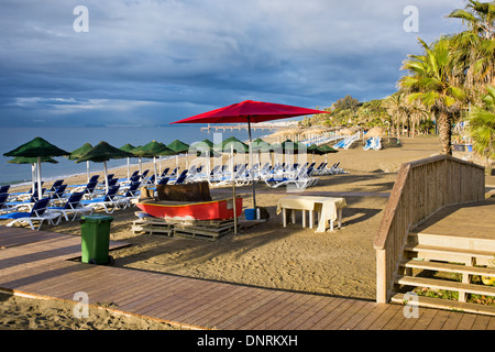 Liegestühle mit Sonnenschirmen am Strand morgens am beliebten Ferienort Marbella in Spanien, Costa Del Sol, Andalusien. Stockfoto