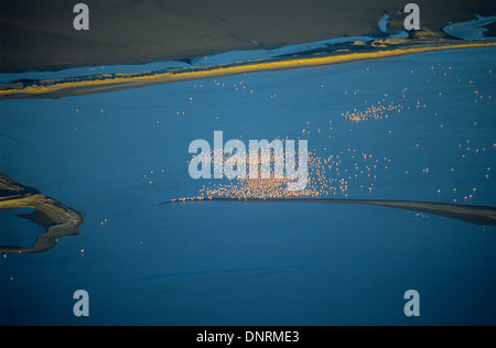 Luftaufnahme der Lagune mit Flamingos Vögel, südlich von Walvis Bay, Namibia, Afrika Stockfoto