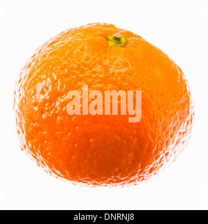 Reife Mandarinen Citrus isoliert Tangerine Mandarine Orange auf weißem Hintergrund. Stockfoto