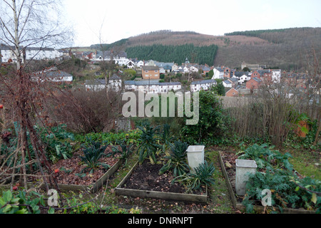 Ein Blick auf die Stadt, Häuser und Waldhügel von Knighton hinter einem heimischen Garten Hochbeete wachsen Grünkohl im Winter in Powys Wales UK KATHY DEWITT Stockfoto