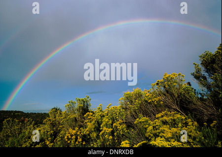 Regenbogen über Felder südlich von Colorado Springs, Colorado, USA Stockfoto