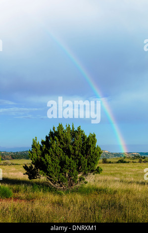 Regenbogen über Felder südlich von Colorado Springs, Colorado, USA Stockfoto