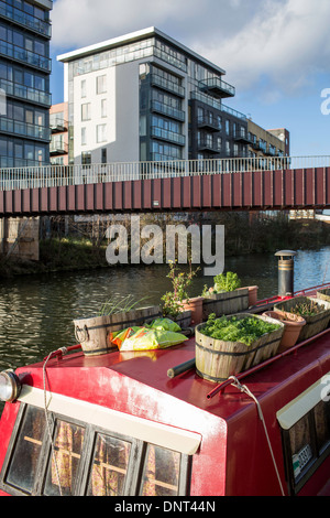 Hausboot am Fluss Lee Navigation, Hackney Wick, London, Vereinigtes Königreich Stockfoto