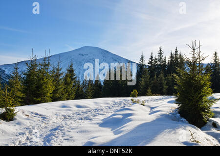 1. Januar 2014, Karpaten - feiern Wanderer Neujahr auf Howerla Berg, dem höchsten Berg in der Ukraine Stockfoto