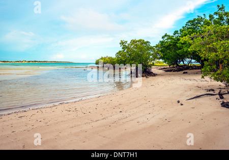 Strand Cayo Coco Kuba Stockfoto