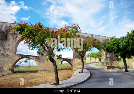 Amoreira Aquädukt, Elvas, Portugal Stockfoto