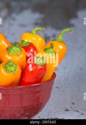 Süße Mini-Paprika in rot Schüssel. Nahaufnahme mit geringen Schärfentiefe. Stockfoto