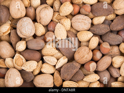 Nussmischung Hintergrund mit Mandeln, Walnüsse, Pekannüsse, Haselnüsse und Paranüsse Stockfoto