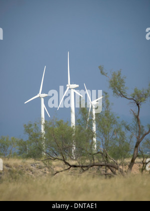 Salbei Pinsel und Windturbinen füllen die Prärie in West-Texas in der Nähe von Sweetwater, Texas, die Wind-Energie-Hauptstadt von Texas. Stockfoto