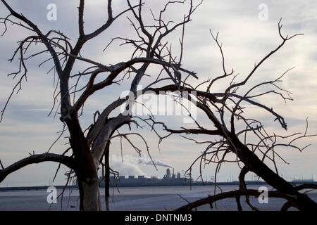 (140106) - LOS ANGELES, 6. Januar 2014 (Xinhua)--tote Äste sind am Ufer des the Salton Sea in Bombay Beach, Kalifornien, am 4. Januar 2014 gesehen. Im März 2012 bestätigte der oberste Gerichtshof von Kalifornien eine massive Wasser-Transfer-System, die wahrscheinlich die landwirtschaftliche Abfluss abgeschnitten würde, die füllt die Kaliforniens größten See, the Salton Sea. Wenn der See trocknet, Befürworter Umweltschützer und Gesundheit Angst kick it giftigen Staub geschnürt mit Selen und Arsen, die in ganz Südkalifornien ausbreiten könnte. (Xinhua/Zhao Hanrong) (Bxq) Stockfoto