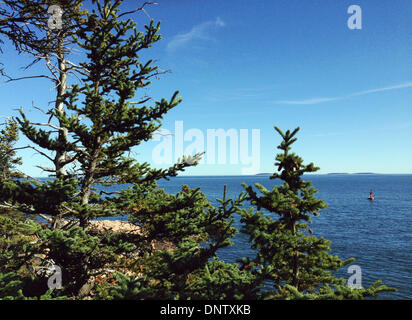 Maine, USA. 27. September 2013. Blick durch die Bäume an den Klippen der Bass Habor im Acadia Nationalpark in Maine, USA, 27. September 2013. Der Acadia National Park ist bekannt für seine zerklüftete Felsenküste und eine raue Landschaft mit Bergen und Seen und gehört zu den zehn meistbesuchten Parks in den USA. Foto: Nico Esch/Dpa/Alamy Live News Stockfoto