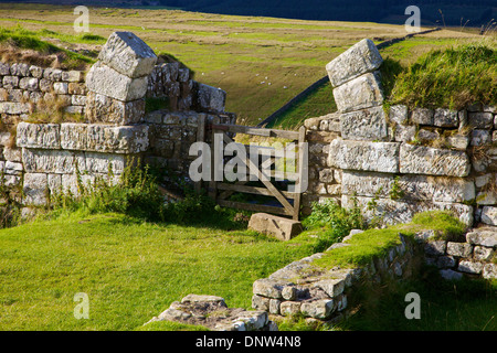 Milecastle 37 Torhaus in der Nähe von Housteads römisches Kastell am Hadrianswall National Trail, Northumberland-England-Großbritannien Stockfoto